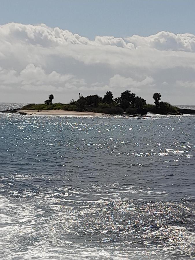 招待所 El Paraiso